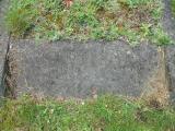 image of grave number 173438